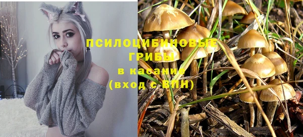 индика Абдулино