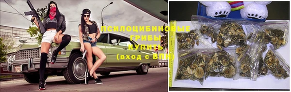 индика Абдулино