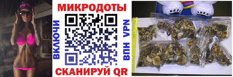 даркнет Telegram  Тында  Псилоцибиновые грибы Psilocybe 