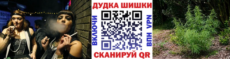 Конопля конопля купить наркотики цена Тында